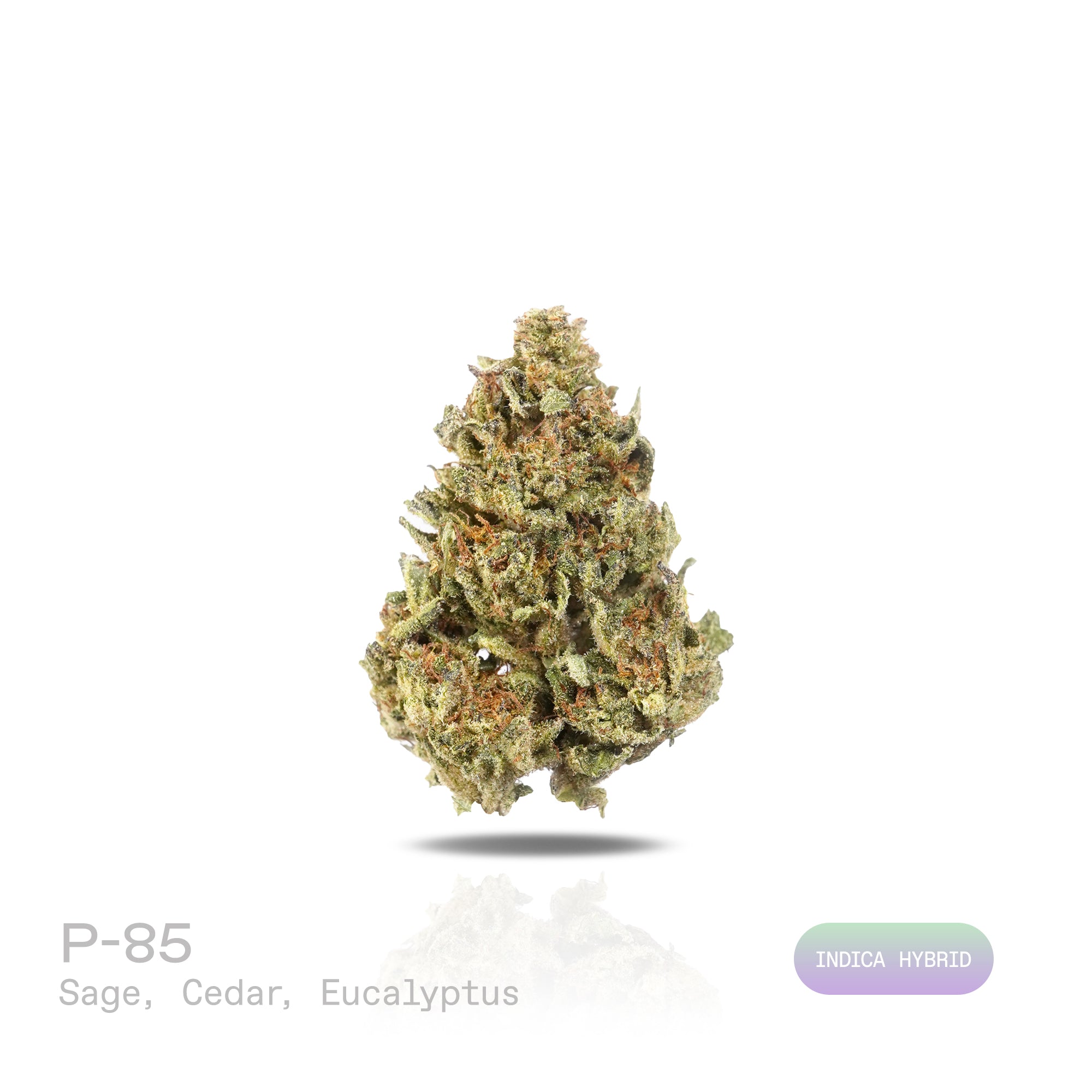 PUFFY P85 is an indica-dominant hybrid THCa strain crafted from a dynamic fusion of  Legend’s Ultimate Indica (LUI) and Bubblegum. The aroma opens with crisp sage, layered with warm cedar and a refreshing burst of eucalyptus. Visually, dense vivid green buds with purple hues and fiery orange pistils are coated in sticky trichomes. Consumers often report a euphoric uplifted mood accompanied by enhanced mental clarity, a boost in creativity, and socially engaging energy. 