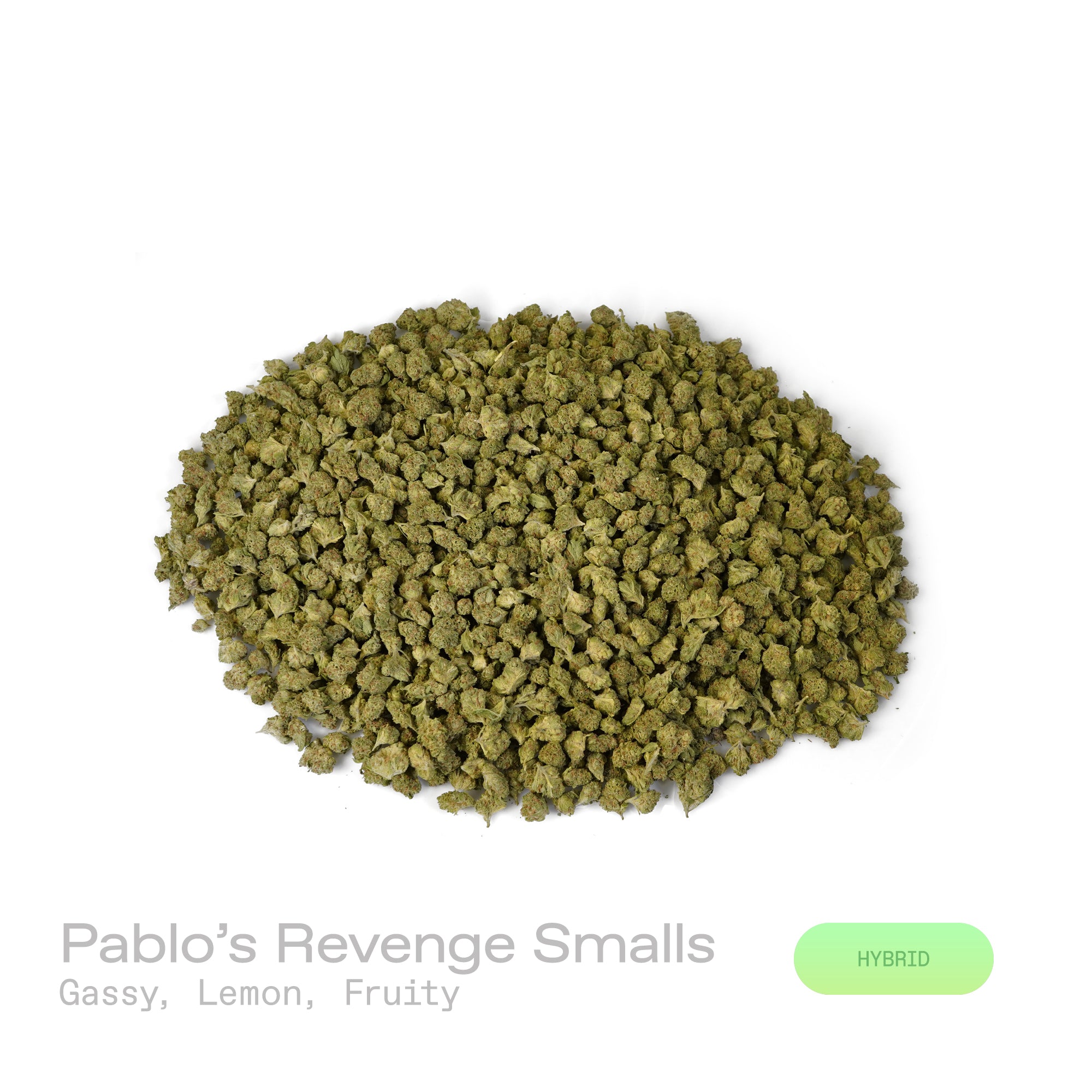 PUFFY Pablo’s Revenge (smalls) is a balanced hybrid THCa strain, crafted from a potent genetic cross between Animal Mints and Sherb Cake. Aroma is a rich blend of sweet and gassy notes, layered with bright lemon zest and a burst of ripe, fruity undertones. Visually striking, with dense, frosty buds showcasing a vivid tapestry of deep purples, lush greens, and fiery orange hairs, all glistening under a heavy coat of resin-rich trichomes. Consumers often report a layered experience, beginning with a euphoric 