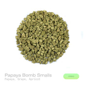 PUFFY Papaya Bomb (smalls) is a balanced hybrid THCa strain, born from the unique pairing of Papaya and THC Bomb. The aroma is a vibrant blend of ripe papaya, sweet grape, and juicy apricot, creating a lush, tropical-fruit-forward scent with a soft candy-like undertone. Visually, buds are dense and frosty, featuring spring green and purple hues with bright orange pistils and a thick coating of sparkling trichomes. Consumers often report feeling euphoric, creatively inspired, joyful, and uplifted, making it 