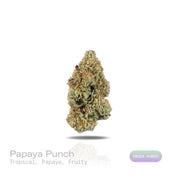 PUFFY Papaya Punch is an indica-dominant hybrid THCa strain crafted from the flavorful union of Papaya and Purple Punch. The aroma is a vibrant blend of tropical sweetness, bursting with ripe papaya and luscious fruity notes that instantly awaken the senses. Visually, the buds are dense and heart-shaped, showcasing a vibrant forest green color accented by fiery orange hairs and a thick, frosty coating of milky amber trichomes. Consumers often report a smooth high, beginning with a gentle cerebral uplift tha