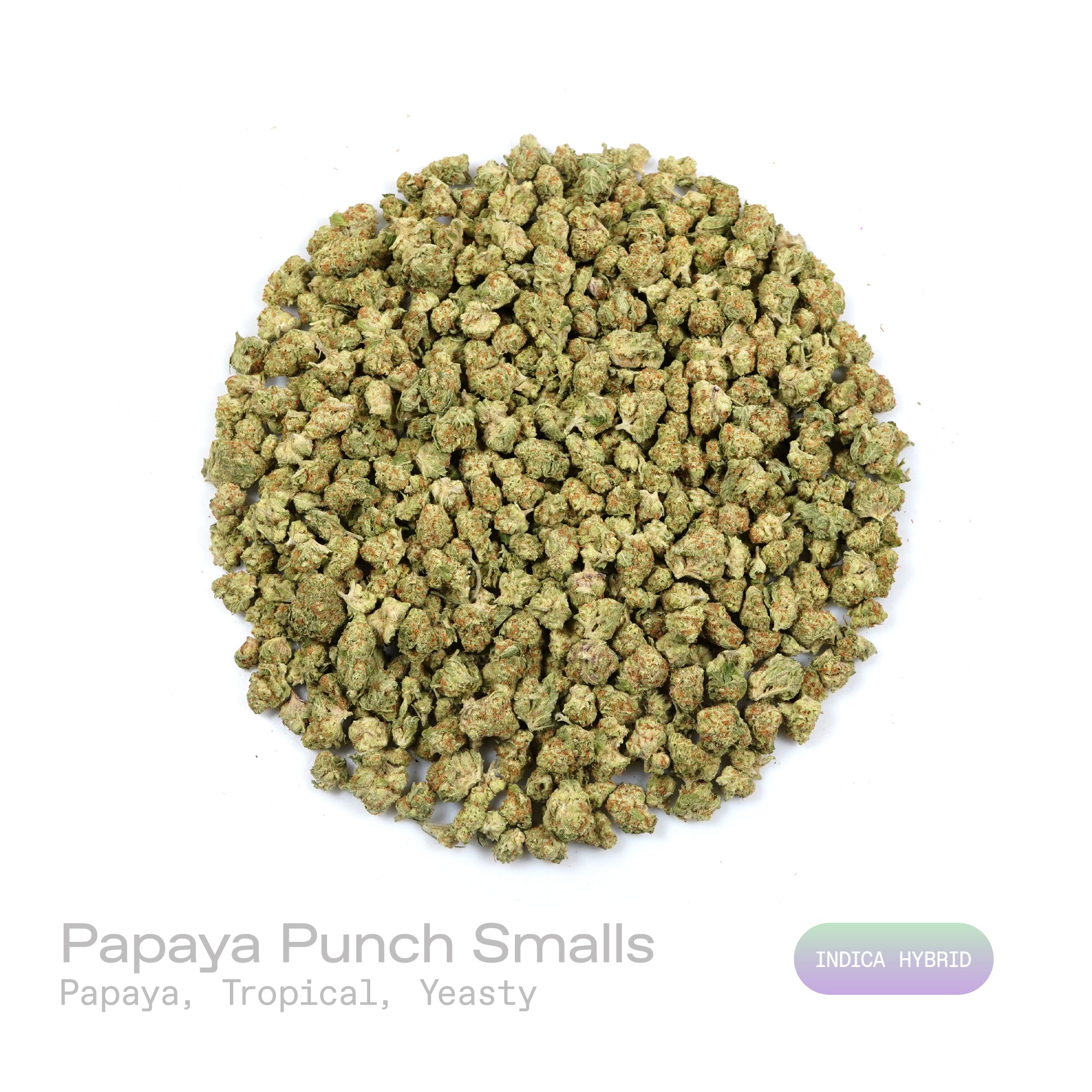 PUFFY Papaya Punch (smalls) is an indica-dominant hybrid THCa strain crafted from the flavorful union of Papaya and Purple Punch. The aroma is a vibrant blend of papaya and tropical fruits, underscored by a subtle, yeasty note that adds depth and complexity. Visually, the buds are dense and heart-shaped, showcasing a vibrant forest green color accented by fiery orange hairs and a thick, frosty coating of milky amber trichomes. Consumers often report a smooth high, beginning with a gentle cerebral uplift tha