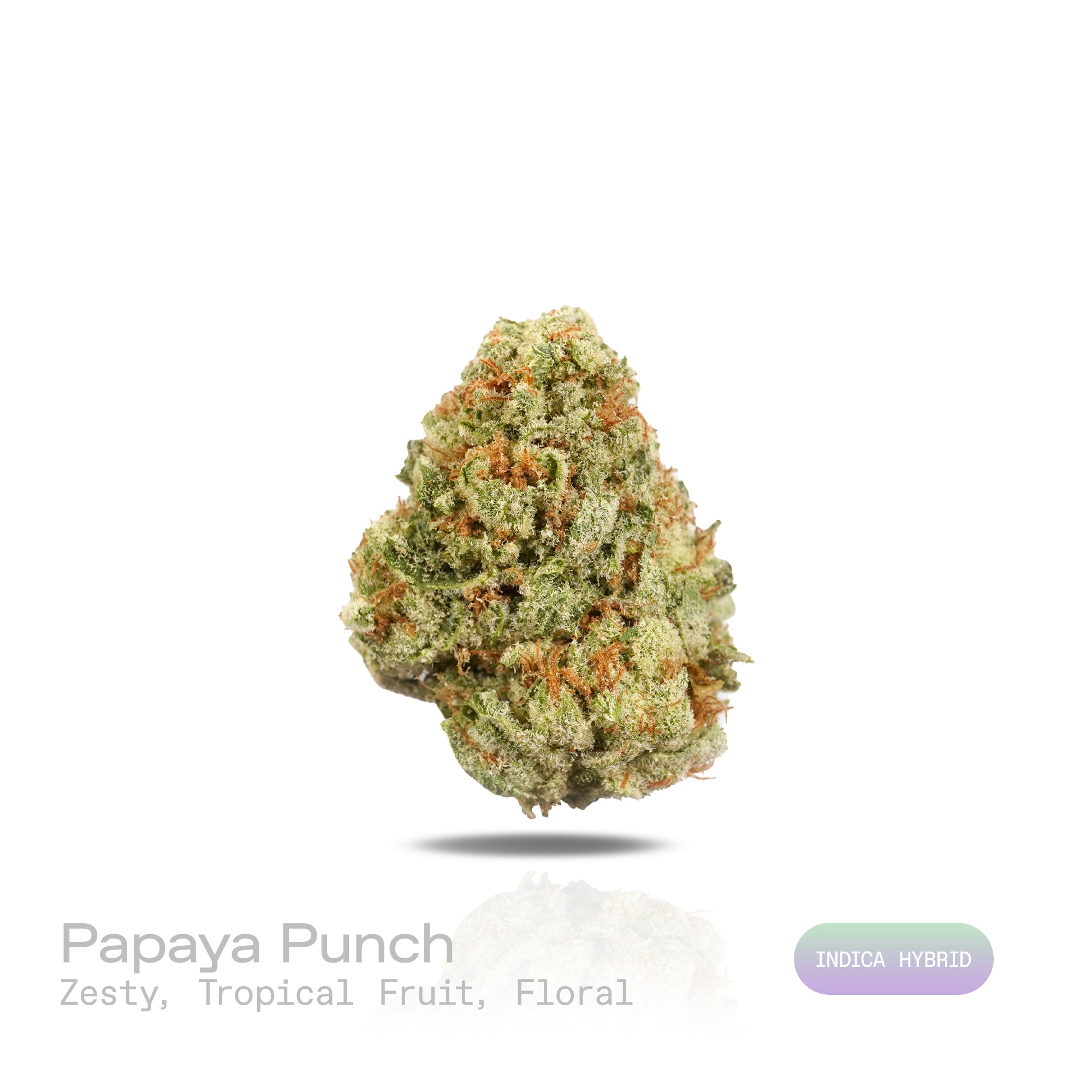 PUFFY Papaya Punch is an indica-dominant hybrid THCa strain crafted from the flavorful union of Papaya and Purple Punch. The aroma is zesty and lively, layered with sweet tropical fruit notes and a delicate floral undertone that creates a bright, inviting fragrance. Visually, the buds are dense and heart-shaped, showcasing a vibrant forest green color accented by fiery orange hairs and a thick, frosty coating of milky amber trichomes. Consumers often report a smooth high, beginning with a gentle cerebral up