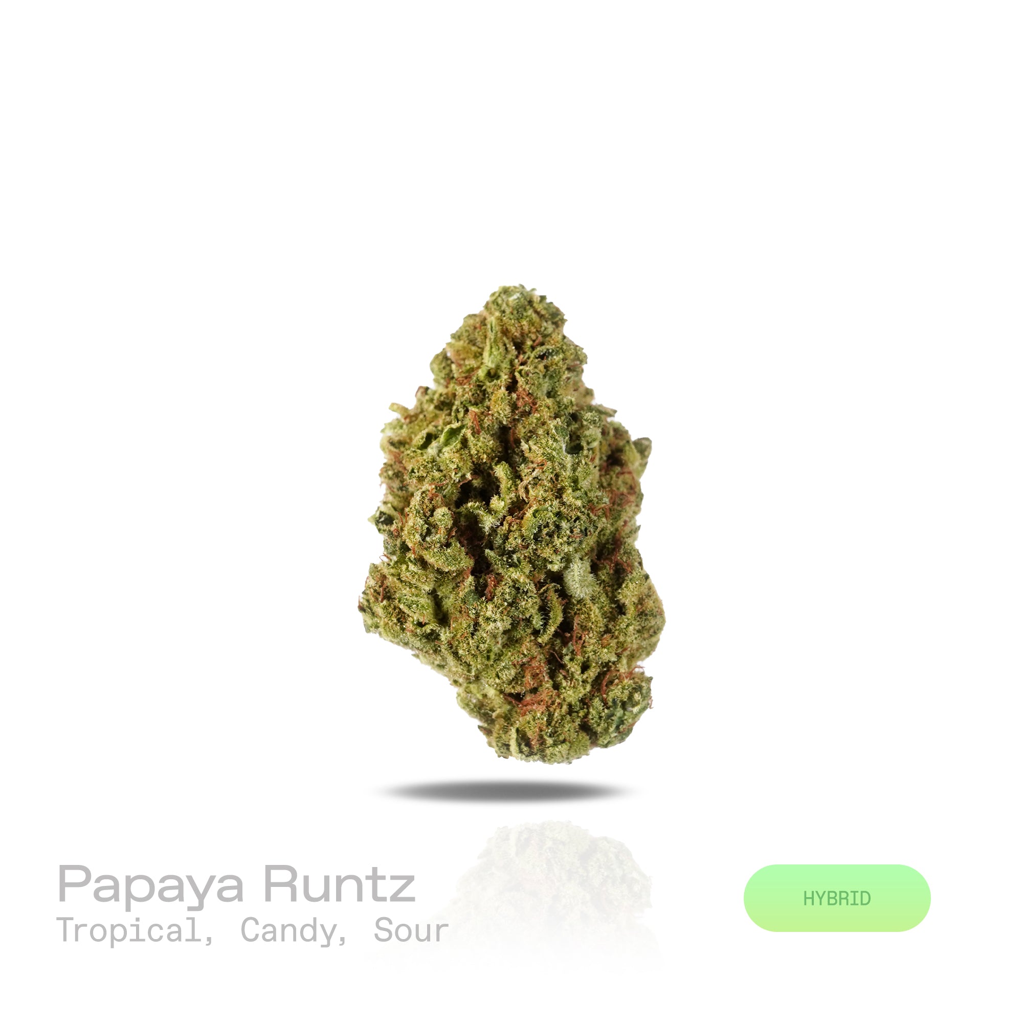 Papaya Runtz THCa Flower (Indoor) (Hybrid)