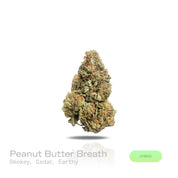 PUFFY Peanut Butter Breath is a balanced hybrid THCa strain bred through the genetic fusion of Do-Si-Dos and Mendo Breath. The aroma is rich and complex, blending smoky undertones with warm cedar and deep earthy notes. Visually, dense deep forest green buds with purple hues and fiery orange pistils are coated in sticky trichomes. Consumers often report feeling euphoric, relaxed, and calm, along with stress relief, full-body relaxation, and an increased appetite.