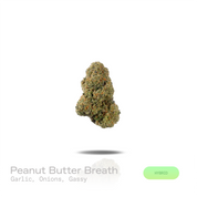 Peanut Butter Breath THCa Flower (Indoor) (Hybrid)