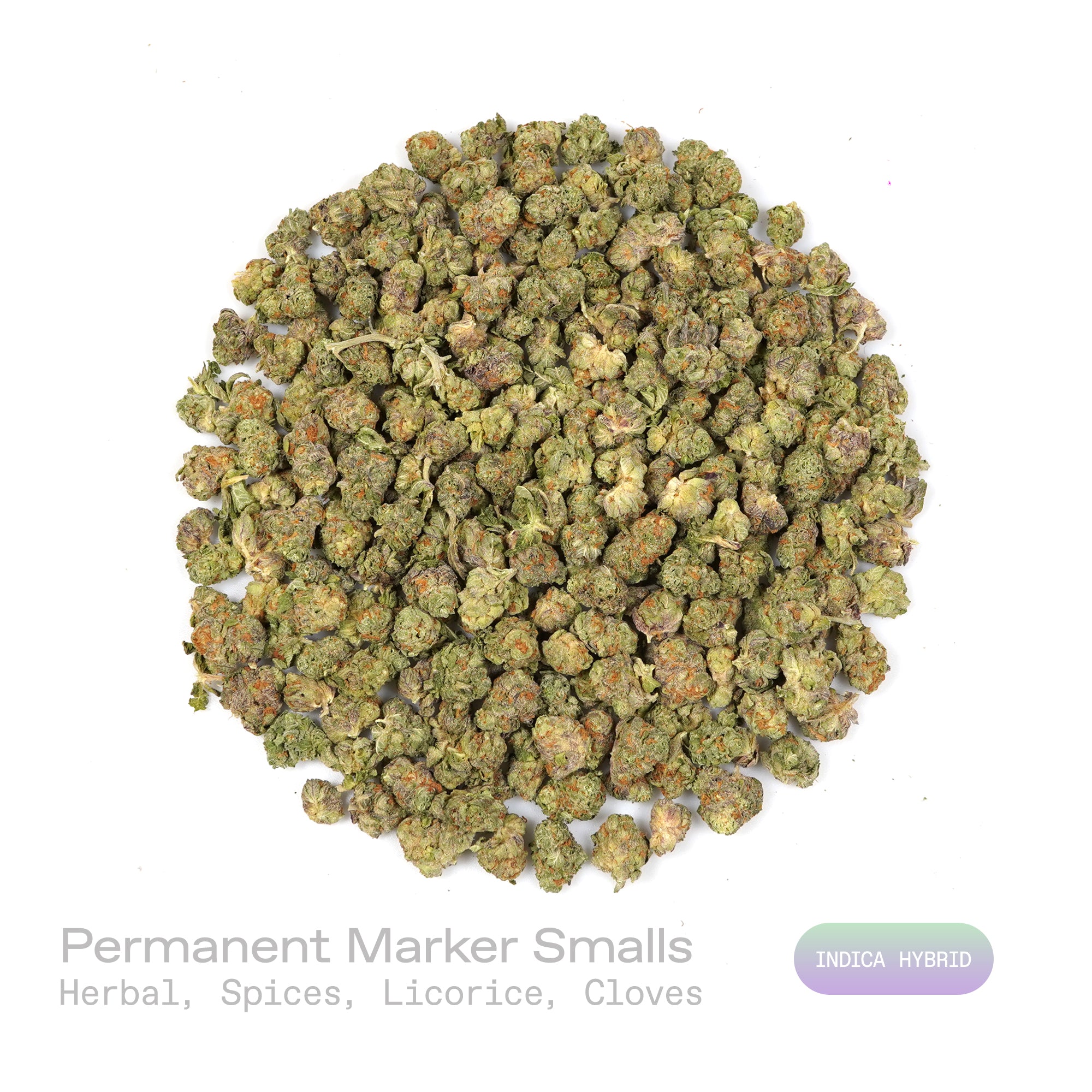 PUFFY Permanent Marker (smalls) is an indica-dominant hybrid THCa strain, born from the complex cross of Biscotti, Jealousy, and Sherbet BX. The aroma is a rich blend of herbal notes layered with warm spices, highlighted by distinct hints of licorice and clove. Visually striking, the buds feature deep purple and green hues, bright orange pistils, and a thick coating of sparkling resinous trichomes. Consumers often report a blissful euphoria that uplifts the mood, sparks creativity, creates gentle tingling s