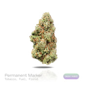 PUFFY Permanent Marker is an indica-dominant hybrid THCa strain, born from the complex cross of Biscotti, Jealousy, and Sherbet BX. The aroma features rich tobacco notes blended with pungent fuel undertones and delicate floral accents. Visually, dense forest green buds with purple hues and fiery orange pistils are coated in sticky trichomes. Consumers often report a blissful euphoria that uplifts the mood, sparks creativity, creates gentle tingling sensations, and envelops the body in deep, relaxing calm.  