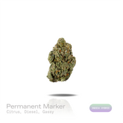 PUFFY Permanent Marker is an indica-dominant hybrid THCa strain, born from the complex cross of Biscotti, Jealousy, and Sherbet BX. The aroma opens with bright citrus notes before unfolding into bold diesel undertones and a pungent, gassy finish. Visually, dense forest green buds with purple hues and fiery orange pistils are coated in sticky trichomes. Consumers often report a blissful euphoria that uplifts the mood, sparks creativity, creates gentle tingling sensations, and envelops the body in deep, relax