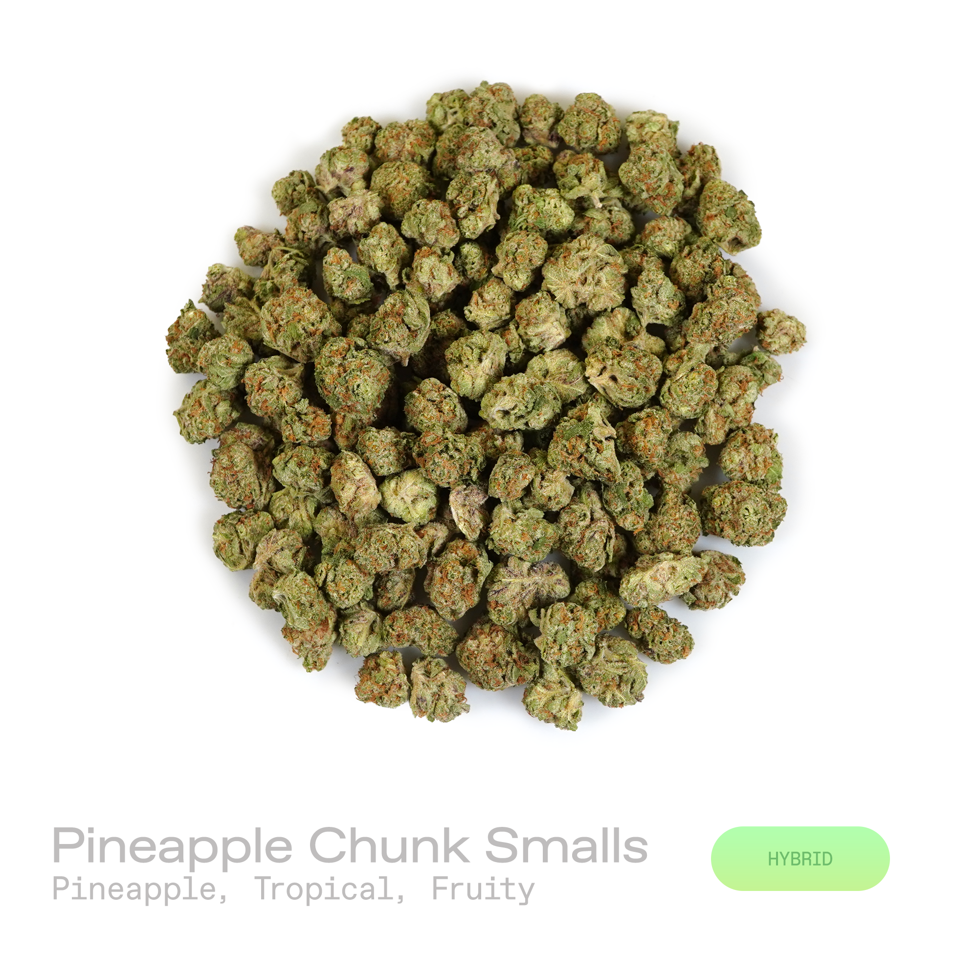 PUFFY Pineapple Chunk (smalls) is a balanced hybrid THCa strain THCa bred from the carefully selected genetics of strain Cheese and Skunk 1. The aroma opens with bright pineapple, unfolds into lush tropical fruit, and finishes with a sweet, juicy fruity sweetness. Visually, dense forest green and purple buds with orange pistils are coated in sparkling, frosty trichomes. Consumers often report a deeply euphoric uplift that gently melts into a relaxing body sensation, creating a calm, content, and easygoing e