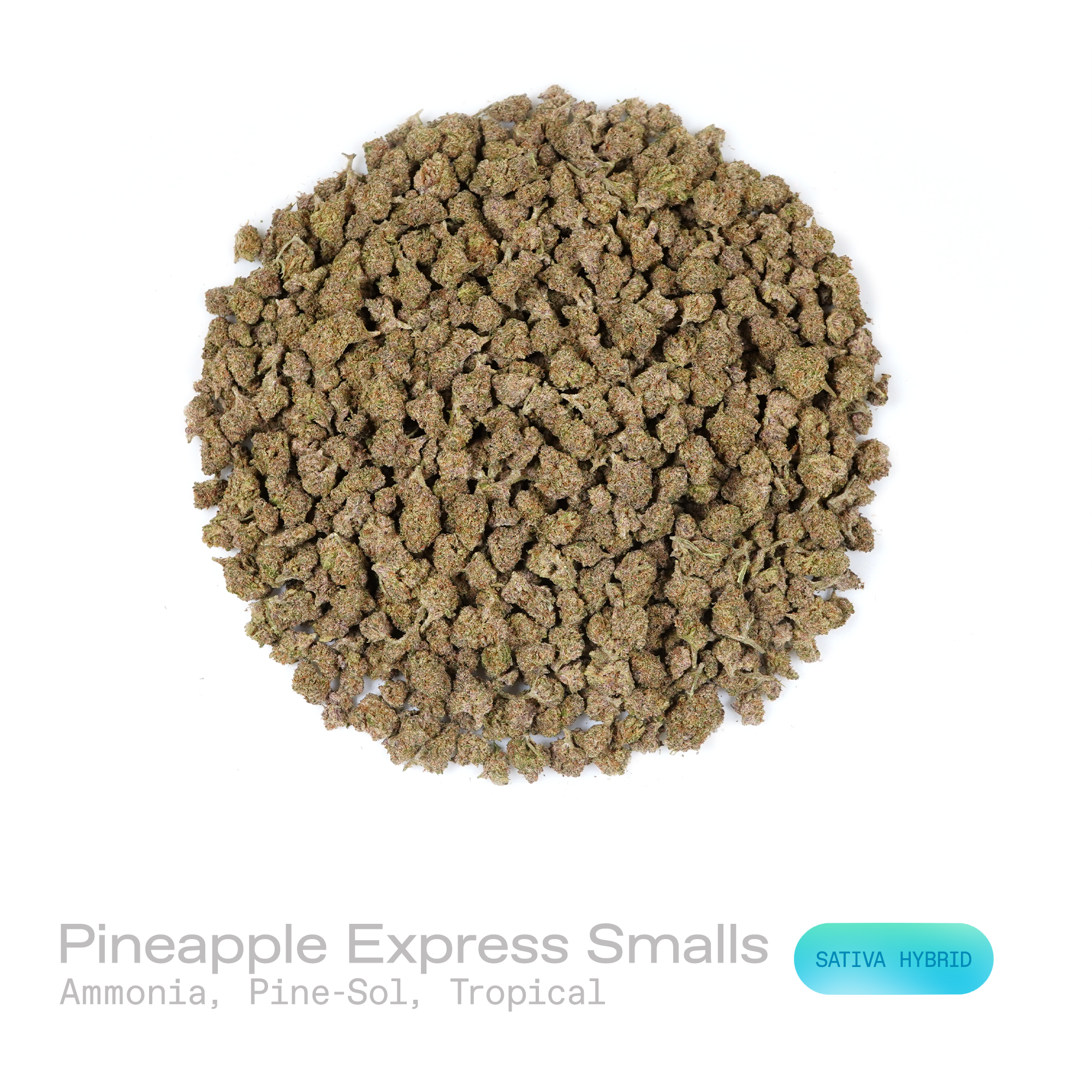 PUFFY Pineapple Express (smalls) is a sativa-dominant hybrid THCa strain originating from the legendary lineage of Trainwreck and Hawaiian. The aroma opens with a sharp ammonia-like bite, moves into a clean pine-sol–style resinous freshness, and settles into a subtle tropical sweetness of ripe fruit and citrus. Consumers often report feeling euphoric, energized, creatively inspired, and mentally uplifted, often accompanied by a clear boost in mood and motivation.