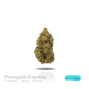 PUFFY Pineapple Express is a sativa-dominant hybrid THCa strain originating from the legendary lineage of Trainwreck and Hawaiian. Aroma is tropical and zesty, bursting with bright, refreshing notes of citrus. Visually, dense forest-green buds with purple hues and fiery orange pistils are coated in sticky trichomes. Consumers often report feeling euphoric, energized, creatively inspired, and mentally uplifted, often accompanied by a clear boost in mood and motivation. 