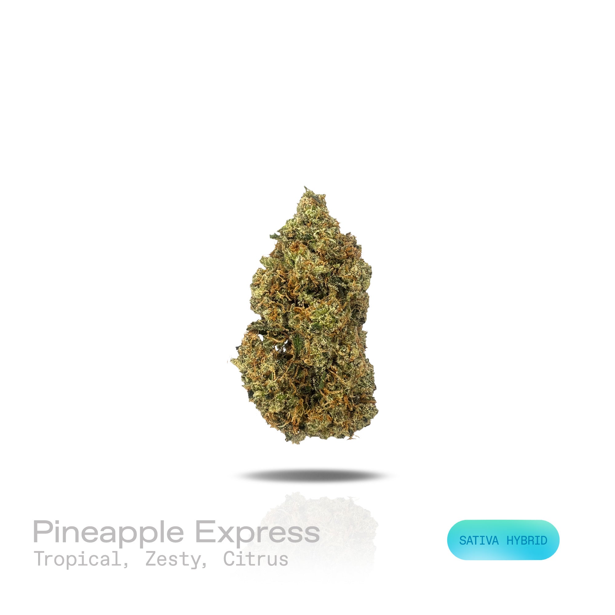 PUFFY Pineapple Express is a sativa-dominant hybrid THCa strain originating from the legendary lineage of Trainwreck and Hawaiian. Aroma is tropical and zesty, bursting with bright, refreshing notes of citrus. Visually, dense forest-green buds with purple hues and fiery orange pistils are coated in sticky trichomes. Consumers often report feeling euphoric, energized, creatively inspired, and mentally uplifted, often accompanied by a clear boost in mood and motivation. 