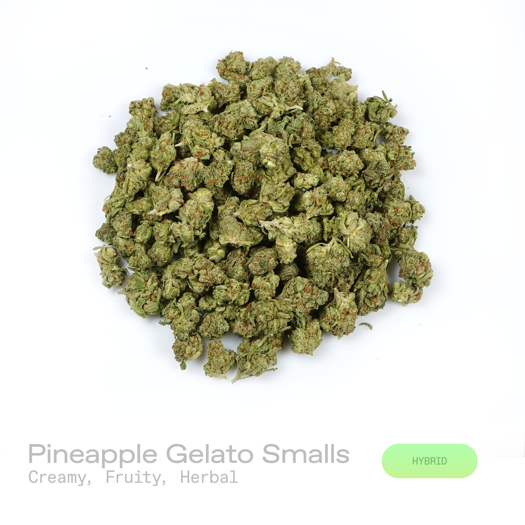 PUFFY Pineapple Gelato (smalls) is a balanced hybrid THCa strain defined by the masterful crossing of Sunset Sherbet and Thin Mint Girl Scout Cookies. The aroma is a creamy and fruity blend with a smooth herbal finish. Visually, dense forest green buds with purple hues and fiery orange pistils are coated in sticky trichomes. Consumers often report feeling euphoric, social, and energized, with a lively sense of positivity and an inspired, creative mindset. 