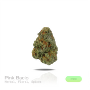 PUFFY Pink Bacio is a balanced hybrid THCa strain developed through the genetic pairing of Pink Runtz and Bacio Gelato. The aroma unfolds with a rich herbal freshness layered over soft floral notes, accented by warm, aromatic spices. Visually, dense forest green buds with purple hues and fiery orange pistils are coated in sticky trichomes. Consumers often report an uplifting euphoric and positive shift in mood that enhances creativity, encourages a calm, easygoing sense of relaxation, and delivers full-body