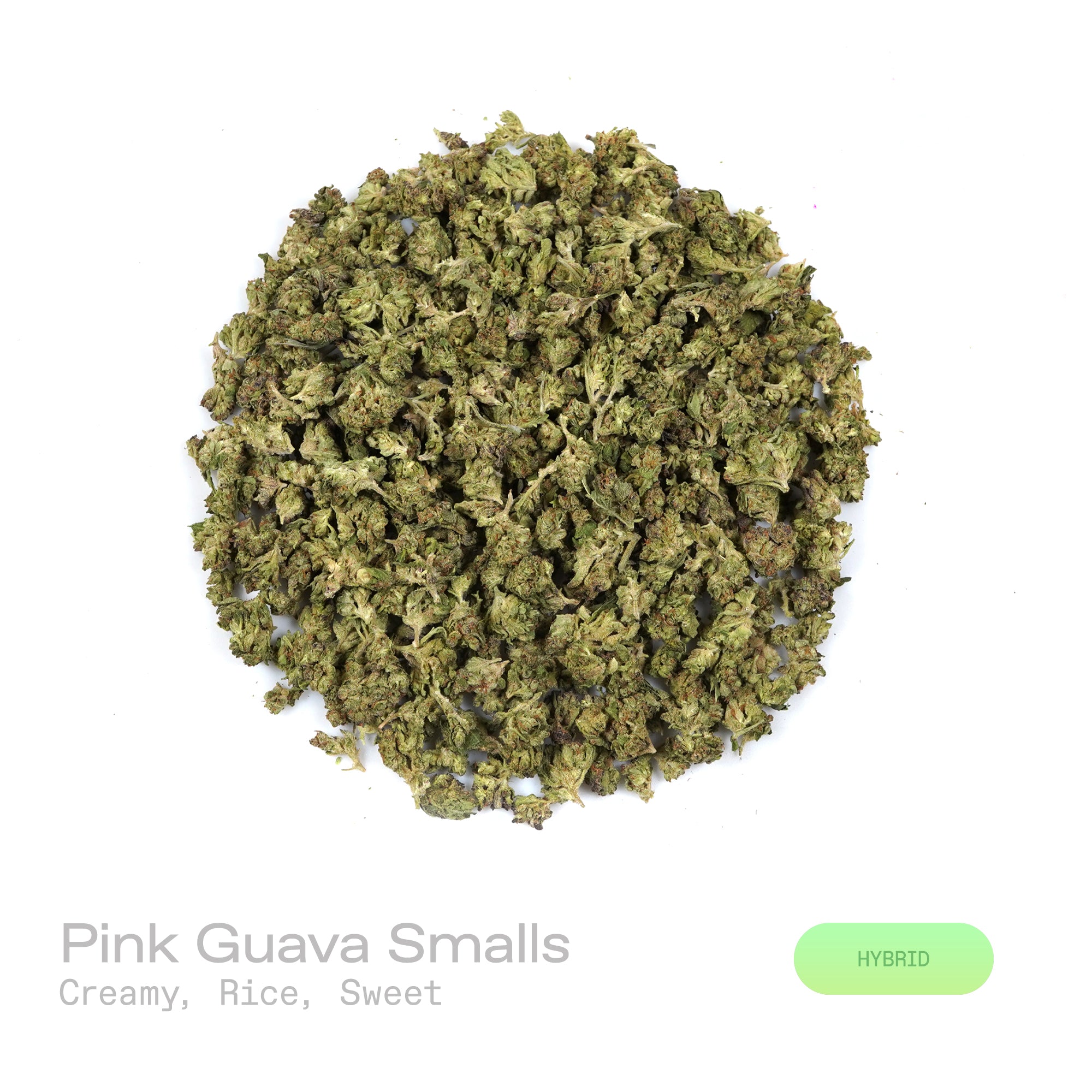 PUFFY Pink Guava (smalls) is a balanced hybrid THCa strain that blends the best of Nepali Pink and Guava. The aroma unfolds with a creamy richness, layered over soft, nutty notes of rice and a subtle, lingering sweetness. Visually, dense pine green buds with purple hues and fiery orange pistils are coated in sticky trichomes. Consumers often report experiencing euphoria, happiness, relaxation, and enhanced focus, enjoying a balanced mental stimulation paired with calming body effects.