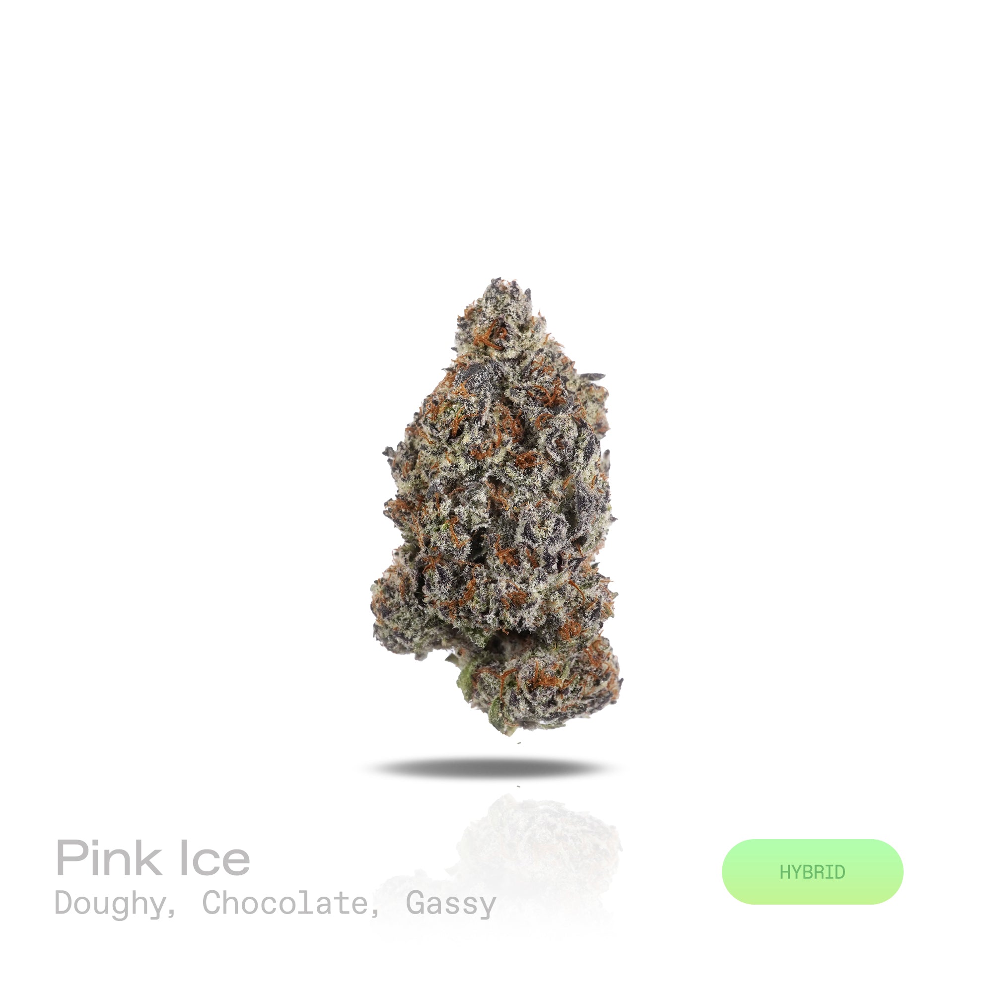 PUFFY Pink Ice is a balanced hybrid THCa strain, expertly crafted from a flavorful union of Pinky and Ice Cream Cake. The aroma is rich and inviting, with doughy notes complemented by hints of chocolate and a subtle, gassy undertone. Visually, dense green buds with hints of purple, bright orange pistils, and a thick coating of sparkling trichomes. Consumers frequently describe a bright, mood‑lifting cerebral buzz that sparks positivity and motivation, paired with a light body calm that keeps the experience 