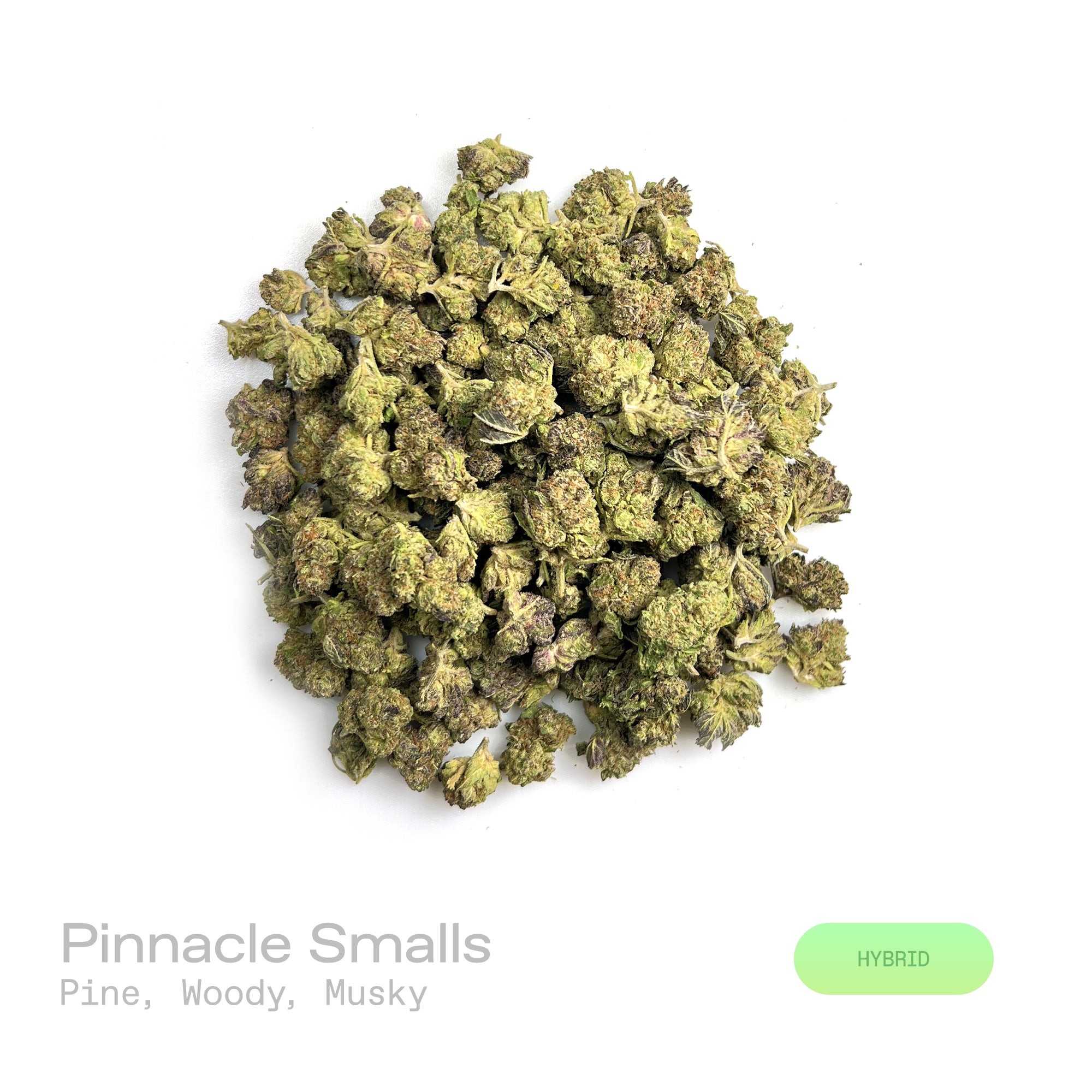 PUFFY Pinnacle (smalls) is a balanced hybrid THCa strain emerging from the distinguished pairing of Slurty 3 and Gush Mints. The aroma is rich with crisp pine and earthy woody notes, finishing with a subtle musky depth. Visually, dense lush green buds with purple hues and fiery orange pistils are coated in sticky trichomes. Consumers often report feeling euphoric and uplifted, with a focused yet deeply relaxed sense of calm. 