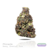 PUFFY Pinnacle is an Indica-dominant hybrid THCa strain emerging from the distinguished pairing of Slurty 3 and Gush Mints. The aroma features smoky notes blended with sharp chemical undertones and a refreshing pine scent. Visually, dense lush green buds with purple hues and fiery orange pistils are coated in sticky trichomes. Consumers often report feeling euphoric and uplifted, with a focused yet deeply relaxed sense of calm.  