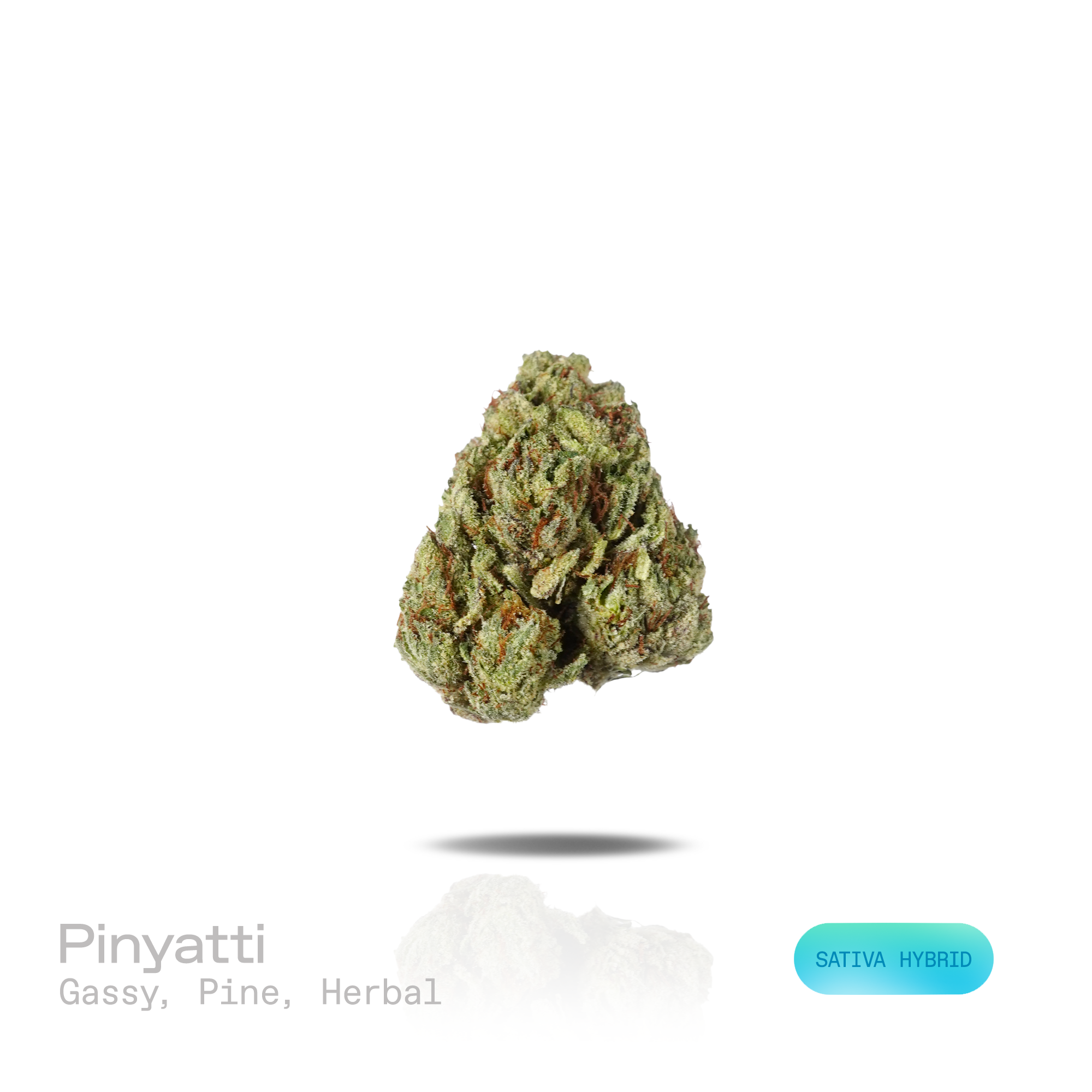 PUFFY Pinyatti is a sativa-dominant hybrid THCa strain crafted from the unique genetic combination of  Piña Acaí and Zoap A. The aroma is gassy and pine-forward, with a distinct herbal finish. Visually, dense dark green buds with purple hues and fiery orange pistils are coated in sticky trichomes. Consumers often report feeling euphoric, energized, clear-headed, motivated, and pleasantly calm.