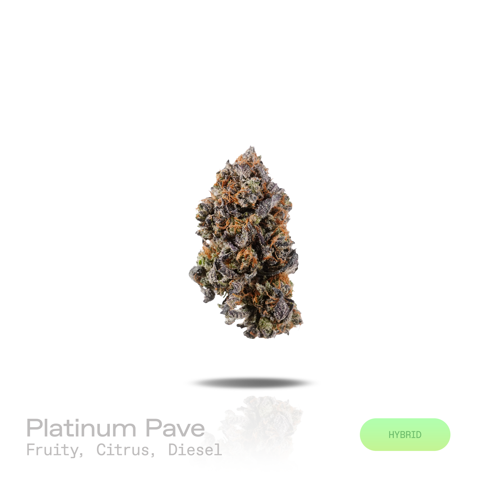 PUFFY Platinum Pave is a balanced hybrid THCa strain emerging from the distinguished pairing of Spritzer and Pave. The aroma opens with a vibrant blend of sweet fruity notes and bright citrus zest, finishing with a bold diesel undertone. Visually, dense forest green buds with purple hues and fiery orange pistils are coated in sticky trichomes. Consumers often report an uplifting wave of euphoria that begins with a clear-headed cerebral buzz before gradually melting into deep relaxation and soothing physical