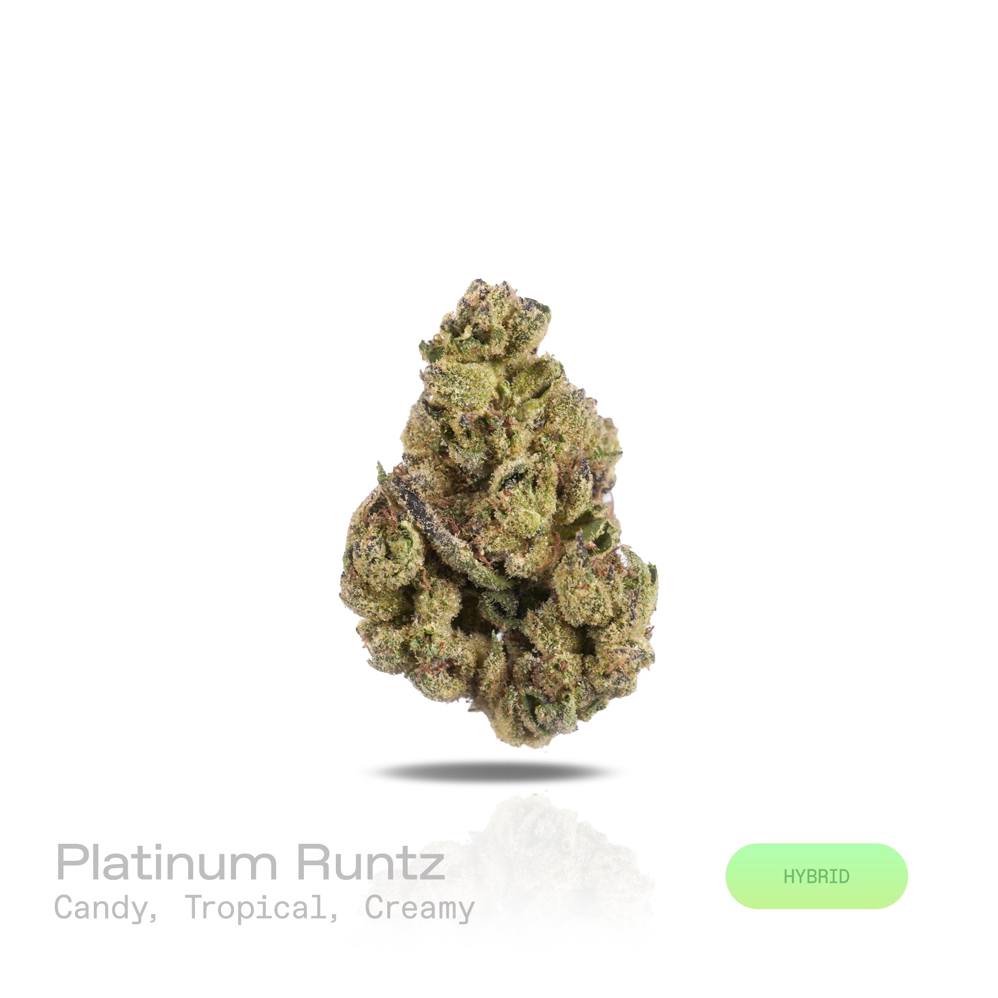 PUFFY Platinum Runtz is a balanced hybrid THCa strain, crafted from the legendary lineage of Platinum Kush and Runtz. The aroma is a delightful blend of sweet candy, lush tropical fruits, and smooth creamy notes. Visually, dense spring-green buds with hints of purple are threaded with fiery orange pistils and coated in a sparkling layer of sticky trichomes. Consumers often report a euphoric and joyful experience that combines mental uplift with gentle physical relaxation, leaving them with a bright and upli