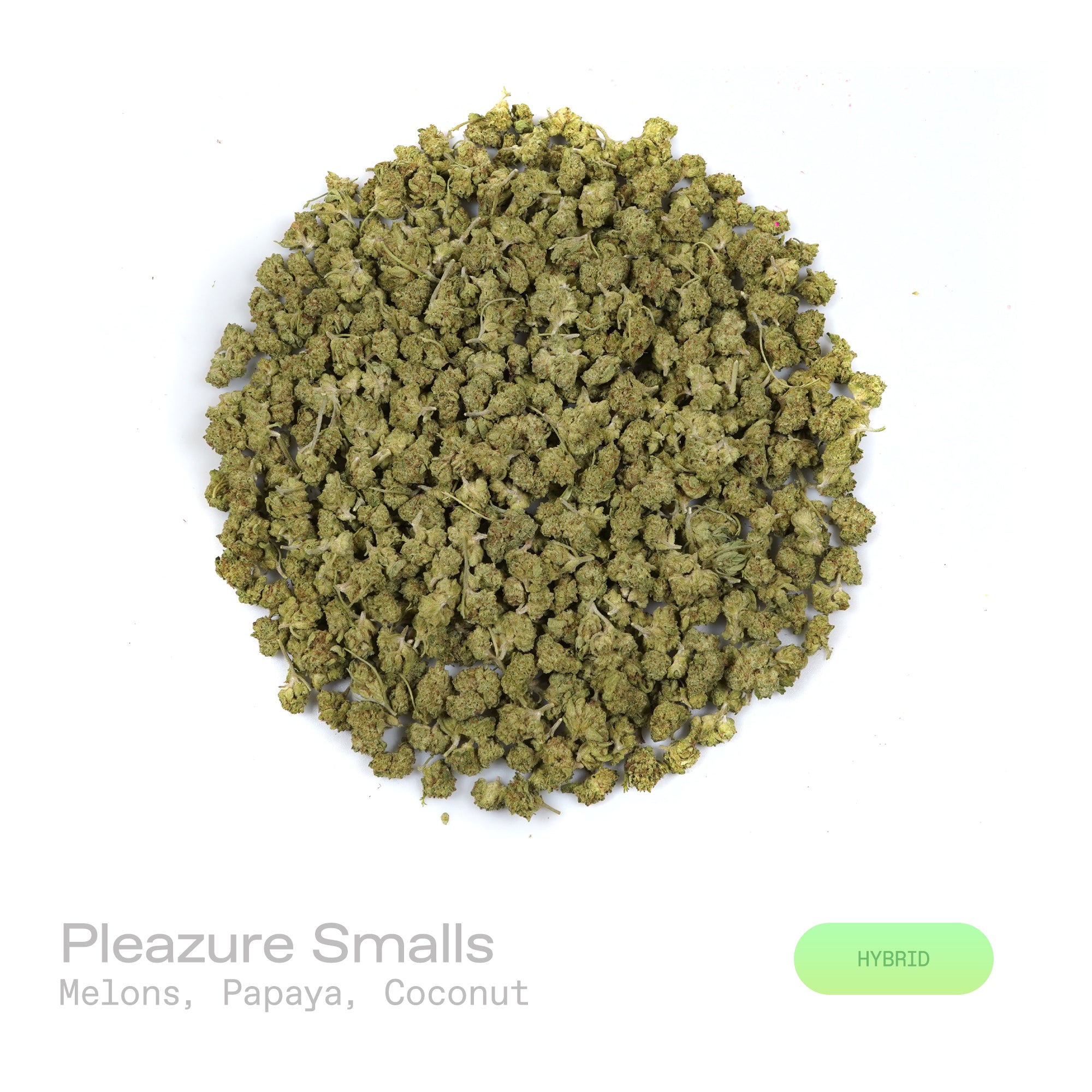 PUFFY Pleazure (smalls) is a balanced hybrid THCa strain created through the refined union of Dweebz and ZHit. The aroma is a tropical delight, bursting with juicy melons, ripe papaya, and a subtle hint of creamy coconut. Visually, dense spring green buds with purple hues and fiery orange pistils are coated in sticky trichomes. Consumers often report a euphoric, uplifting sense of mental clarity paired with a smooth, calming body relaxation that leaves them feeling balanced and refreshed.