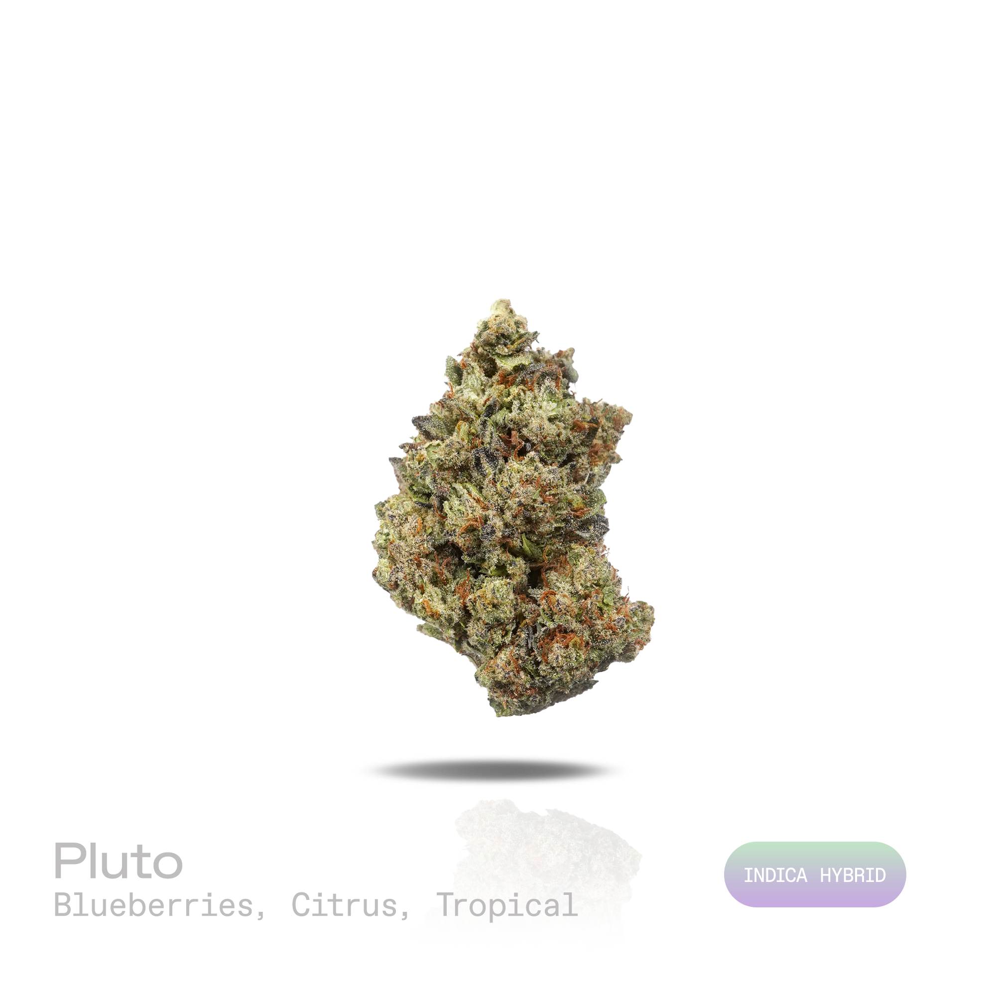 PUFFY Pluto is an indica hybrid THCa strain derived from the primary genetic cross of Gelato #33 and Triangle Kush (TK 1991 Bx1). Aroma is a rich fusion of ripe blueberries, sharp citrus zest, and juicy tropical fruit notes. Visually, dense forest green buds with purple hues and fiery orange pistils are coated in sticky trichomes. Consumers often report feeling euphoric, deeply relaxed, and mentally uplifted, with a balanced sense of calm energy and mood elevation. 