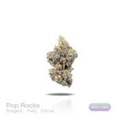 PUFFY Pop Rocks is an indica-dominant THCa strain, a vibrant cross between LA Pop Rocks and Magic Marker. The aroma is a bold blend of pungent fuel notes layered with bright citrus undertones. Visually, dense green buds with purple hues and fiery orange pistils are coated in sticky trichomes. Consumers often report a soothing body high paired with mood enhancement, including feelings of happiness, calm, and mild euphoria, making it ideal for unwinding after a long day. 