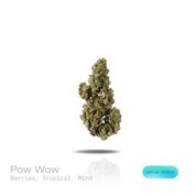 PUFFY Pow Wow is a sativa-dominant hybrid THCa strain, a balanced genetic program combining a Kush foundation with dessert-forward Gelato and Original Z influences. Aroma is a vibrant blend of ripe berries and juicy tropical fruit layered over a cool, refreshing mint finish. Visually, dense forest green buds with purple hues and fiery orange pistils are coated in sticky trichomes. Consumers often report a euphoric mood lift, an uplifting creative mental buzz that feels more socially open and mentally presen