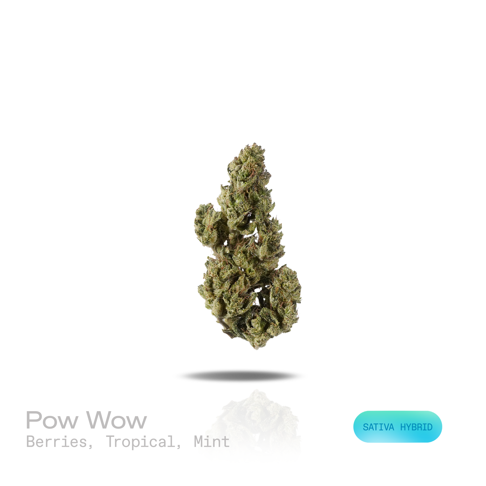 PUFFY Pow Wow is a sativa-dominant hybrid THCa strain, a balanced genetic program combining a Kush foundation with dessert-forward Gelato and Original Z influences. Aroma is a vibrant blend of ripe berries and juicy tropical fruit layered over a cool, refreshing mint finish. Visually, dense forest green buds with purple hues and fiery orange pistils are coated in sticky trichomes. Consumers often report a euphoric mood lift, an uplifting creative mental buzz that feels more socially open and mentally presen