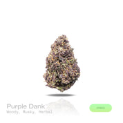 PUFFY Purple Dank is a balanced hybrid THCa strain commonly bred from classic purple indica genetics such as Urkle, Kush, and Granddaddy Purple. The aroma opens with rich woody notes, layered with warm musky undertones and a smooth herbal finish. Visually, dense forest green buds with purple hues and fiery orange pistils are coated in sticky trichomes. Consumers often report a deeply euphoric experience paired with sharp mental focus and a soothing, full-body sense of physical calm. 