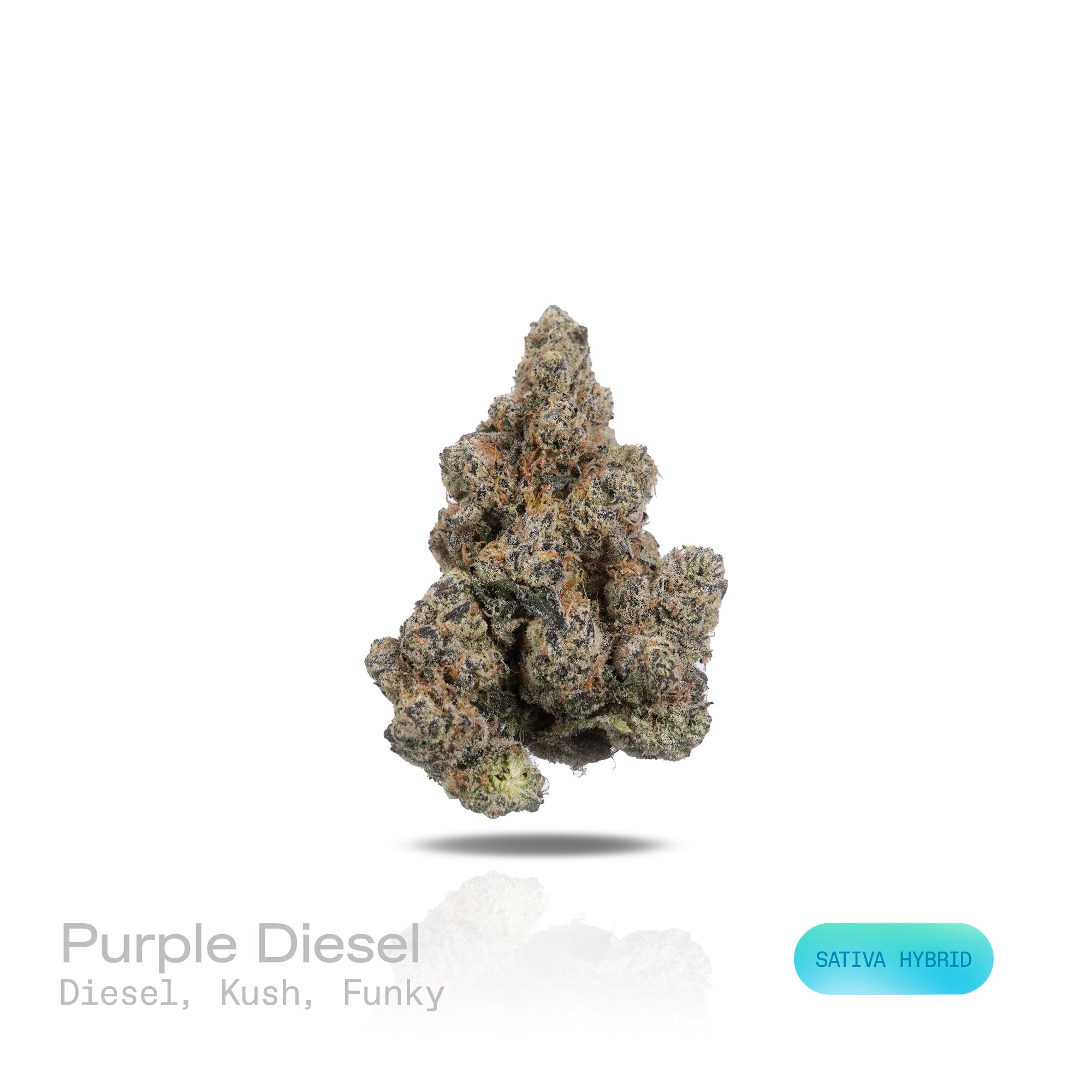 PUFFY Purple Diesel is a sativa-dominant hybrid THCa strain crafted through the renowned union of Pre-98 Bubba Kush and Sour Diesel. The aroma is a pungent blend of diesel fuel, earthy kush, and deep funky undertones that create a bold, lingering scent profile. Visually, dense forest green buds with purple hues and fiery orange pistils are coated in sticky trichomes. Consumers often report an experience characterized by euphoric uplift, enhanced focus, heightened happiness, and a noticeably playful, laughte