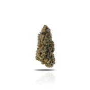 PUFFY Purple Gelato is a balanced hybrid THCa strain, born from the flavorful cross of Sunset Sherbet and Thin Mint Girl Scout Cookies. Its aroma offers a sweet and fruity bouquet with rich notes of grape, spicy cherry, and a subtle hint of peppery diesel. The flavor profile delights the senses with a blend of sugary berries, ripe cherries, and spicy grapes, delivering a smooth and indulgent experience. Visually, the buds are dense and grape-shaped, featuring vibrant emerald-green tones with deep purple und