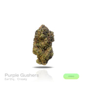 PUFFY Purple Gusher is a well-balanced hybrid THCa strain born from the potent cross between Gelato #41 and Purple Punch. The aroma blends earthy richness with smooth, creamy undertones that entice the senses. Visually, its nugs are dense and chunky, showcasing a vibrant forest-green base laced with deep purple hues, fiery orange pistils, and a heavy dusting of frosty trichomes. Consumers often report an uplifting wave of euphoria and bursts of laughter, followed by a soothing, full-body relaxation. It's a 