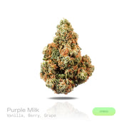 PUFFY Purple Milk is a balanced hybrid THCa strain born from the flavorful fusion of Purple OG Kush and Bubba Kush. The aroma is rich and inviting, blending creamy vanilla with sweet berry and ripe grape notes. Visually, dense forest green buds with purple hues and fiery orange pistils are coated in sticky trichomes. Consumers often report a refined sense of euphoria accompanied by focused clarity and a smooth, relaxed state.