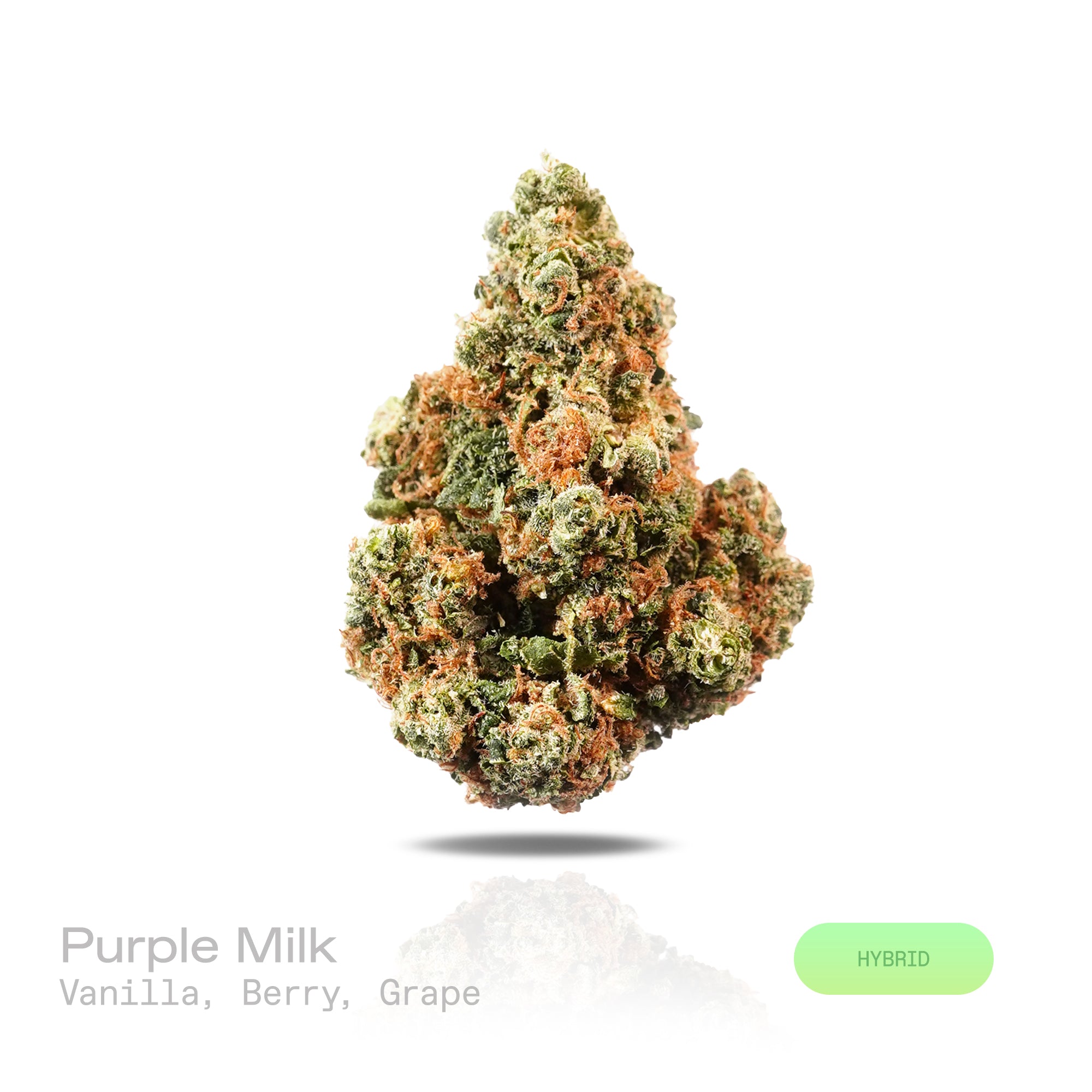 PUFFY Purple Milk is a balanced hybrid THCa strain born from the flavorful fusion of Purple OG Kush and Bubba Kush. The aroma is rich and inviting, blending creamy vanilla with sweet berry and ripe grape notes. Visually, dense forest green buds with purple hues and fiery orange pistils are coated in sticky trichomes. Consumers often report a refined sense of euphoria accompanied by focused clarity and a smooth, relaxed state.