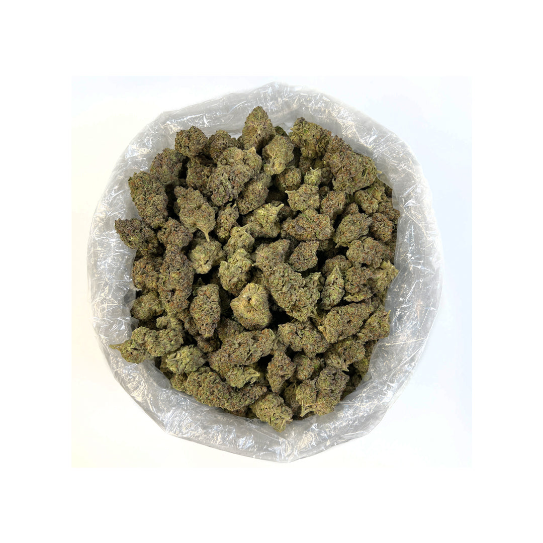 Purple Octane THCa Flower (Indoor) (Indica)