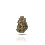 Purple Octane THCa Flower (Indoor) (Indica)