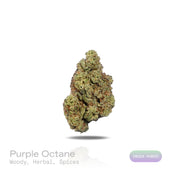 Purple Octane THCa Flower (Indoor) (Indica Hybrid)