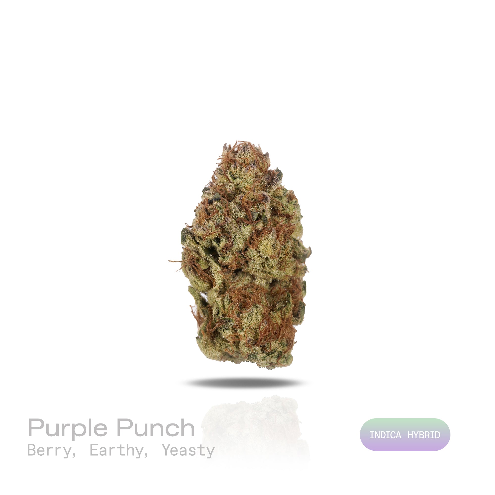 PUFFY Purple Punch is a popular indica-dominant hybrid THCa strain, born from the legendary pairing of Granddaddy Purple and Larry OG. The aroma bursts with sweet berry notes, grounded by earthy undertones and a subtle hint of yeastiness. Visually, the buds are thick and tightly packed, with a lush green backdrop streaked by vivid purples and violets, intertwined with fiery orange pistils and finished with a shimmering coat of crystalline trichomes. Consumers often experience an initial wave of cerebral eup