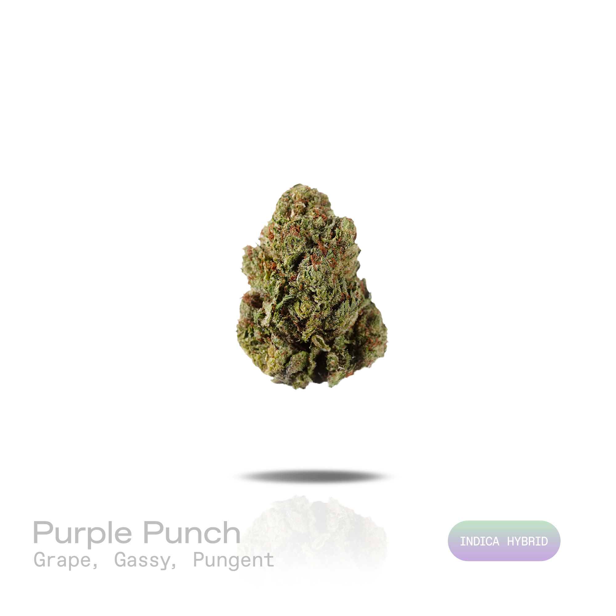 PUFFY Purple Punch is a popular indica-dominant hybrid THCa strain, born from the legendary pairing of Granddaddy Purple and Larry OG. The aroma opens with rich notes of sweet grape layered with bold gassy undertones and a pungent, earthy finish. Visually, the buds are thick and tightly packed, with a lush green backdrop streaked by vivid purples and violets, intertwined with fiery orange pistils and finished with a shimmering coat of crystalline trichomes. Consumers often experience an initial wave of cere