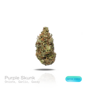 PUFFY Purple Skunk is a sativa-dominant hybrid THCa strain formulated through the selective pairing of  Skunk #1 and Purple Kush. The aroma opens with a pungent fusion of sharp onions, savory garlic, and deep gassy undertones. Visually, dense forest green buds with purple hues and fiery orange pistils are coated in sticky trichomes. Consumers often report feeling euphoric and invigorated, with enhanced focus, creativity, and a bright, mentally stimulating experience. 