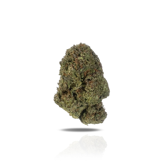 PUFFY Push Pop is a premium indica-dominant hybrid THCa strain, expertly crafted by crossing Cookies and Cream with Temple Flo. This strain boasts an exceptionally smooth and creamy flavor profile, delivering a sweet, milky candy taste with a sugary aroma that lingers. Visually, it’s a stunner, with dense, bushy buds in vibrant light green and orange hues, coated in a thick layer of icy trichomes that shimmer under the light. Consumers report uplifting and euphoric effects, creating a buzzy, feel-good sensa