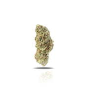 PUFFY Red Velvet is a sativa THCa strain that boasts euphoric effects accompanied by mellow body tingles, offering a relaxing yet uplifting time. Its calming and inspiring effects often promote socialization and creativity with a gentle body buzz. Its exact lineage is unknown, but many believe it stems from a cross of Lemon Cherry Gelato and Pina Acai, blending the best of both to provide a versatile experience.