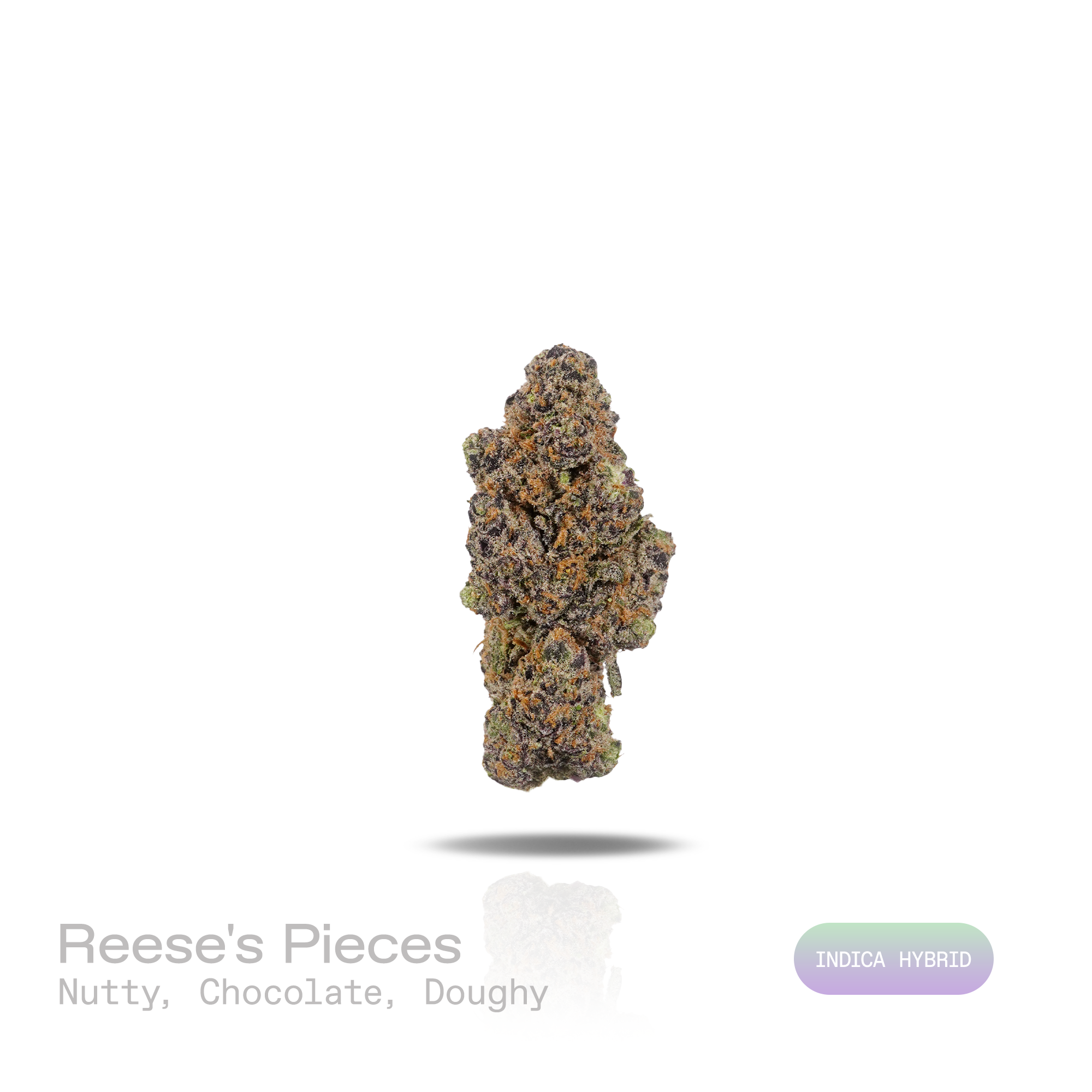 PUFFY Reese's Pieces is an indica-dominant hybrid THCa strain emerging from the intricate fusion of Riot Berry OG × Blueberry Muffin × P-91. The aroma opens with rich notes of roasted nuts and decadent chocolate, layered with a warm, doughy sweetness. Visually, dense forest green buds with purple hues and fiery orange pistils are coated in sticky trichomes. Consumers often report a euphoric cerebral boost that fosters a deeply relaxed state while helping melt away stress and anxiety. 