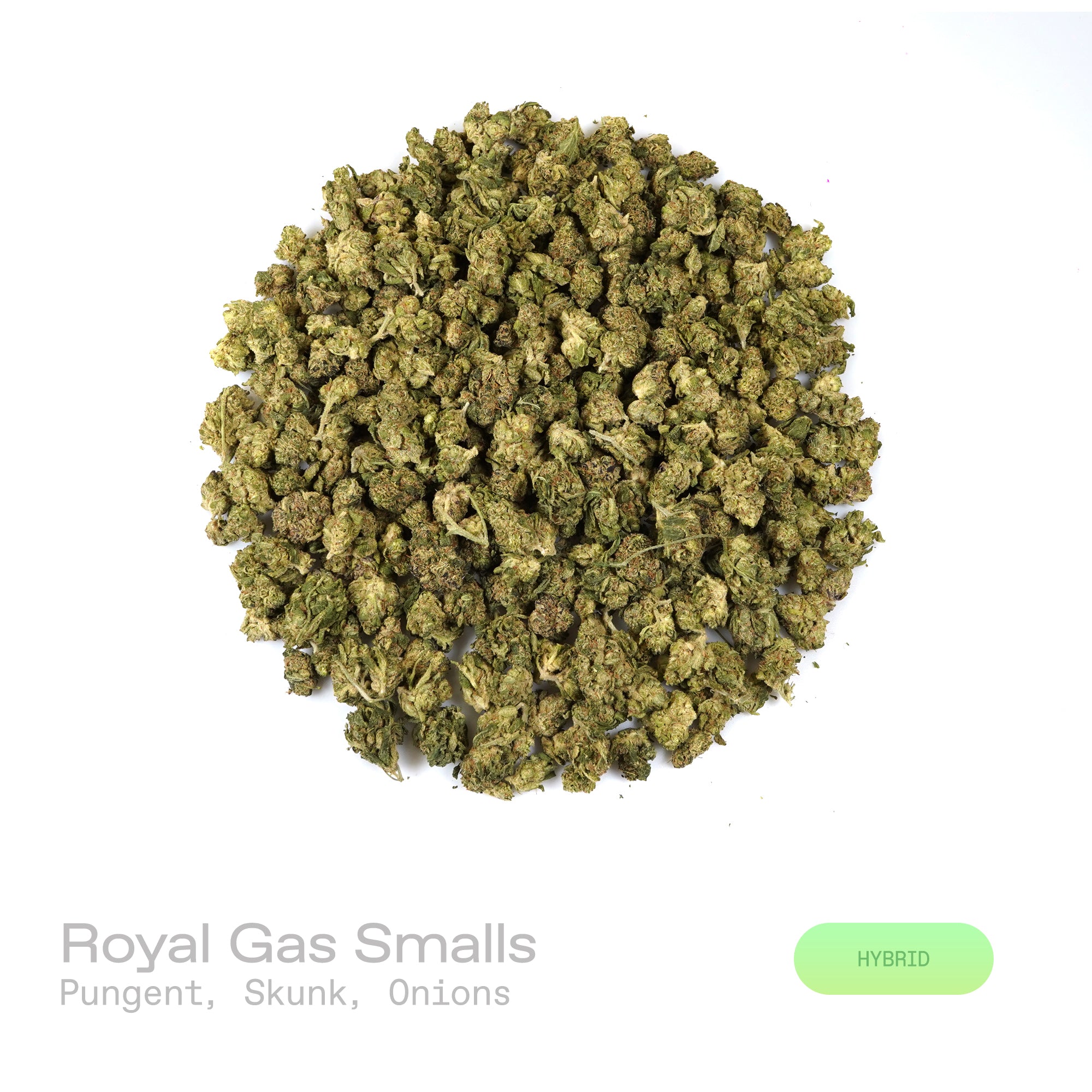 PUFFY Royal Gas (smalls) is a balanced hybrid THCa strain bred through the premium union of Royal and Afghan. The aroma is a bold and pungent blend, combining sharp skunk notes with a hint of savory onions for a striking and memorable scent. Visually, dense deep forest green buds with purple hues and fiery orange pistils are coated in sticky trichomes. Consumers often report a euphoric and deeply relaxing experience, accompanied by a calm yet slightly clear-headed mental state that allows them to remain foc