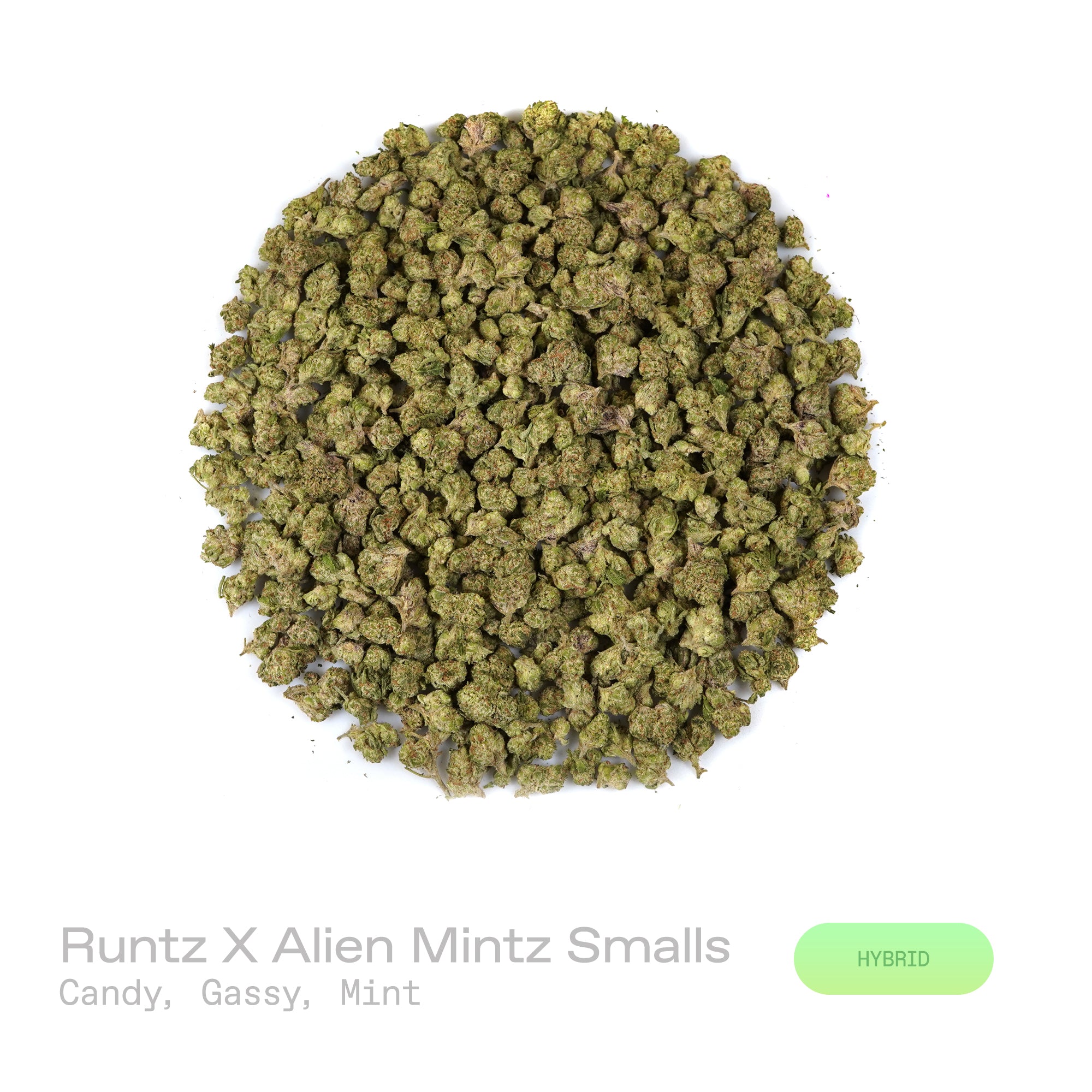 PUFFY Runtz X Alien Mintz (smalls) is a balanced hybrid THCa strain formed by the classic fusion of Runtz and Alien Mintz. The aroma is a captivating blend of sweet candy, pungent gassy notes, and a refreshing hint of mint. Visually, dense forest green buds with purple hues and fiery orange pistils are coated in sticky trichomes. Consumers often report feeling euphoric and happy, paired with a relaxed, talkative energy that uplifts the mood and sparks conversation.