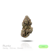 PUFFY Runtz is a balanced hybrid THCa strain, expertly crafted by crossing the legendary Original Z and Gelato. The aroma delivers a burst of confectionery sweetness, crisp citrus brightness, and a robust diesel backbone. Visually, dense forest green and purple buds with orange pistils are coated in sparkling, frosty trichomes. Consumers often report a balanced high that combines uplifting mental euphoria with gentle physical relaxation, promoting creativity and sociability. 