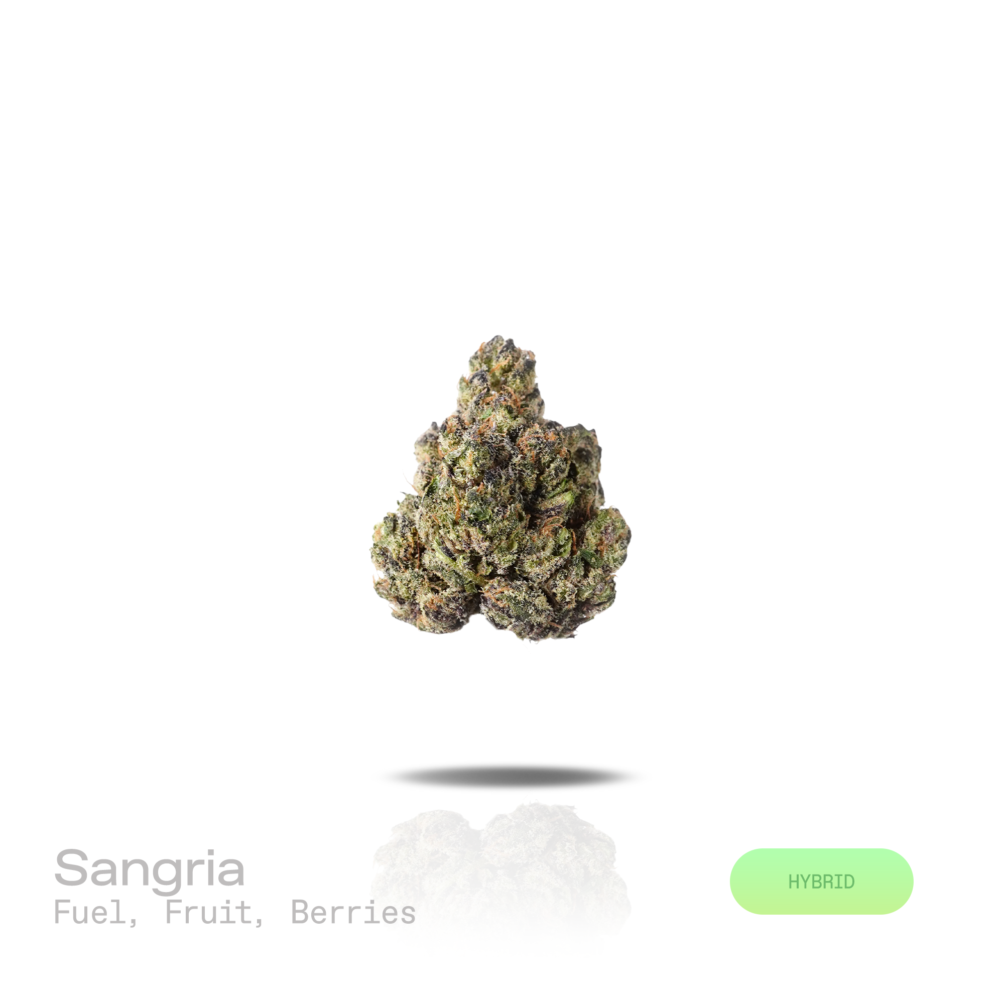 PUFFY Sangria is a balanced hybrid THCa strain formed through the strategic blending of Querkle and Vintner’s Moonshine. The aroma is a bold blend of fuel and ripe fruit, layered with a sweet, juicy finish of berries. Visually, dense forest green buds with purple hues and fiery orange pistils are coated in sticky trichomes. Consumers often report feeling euphoric and uplifted, accompanied by a calming sense of relaxation. 