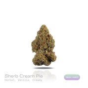 PUFFY Sherb Cream Pie is an indica-dominant hybrid THCa strain, born from the renowned cross of Ice Cream Cake and Sherb BX1. The aroma exudes a soothing blend of herbal notes intertwined with sweet vanilla and a creamy finish, creating a rich and comforting fragrance. Visually, the buds are light and airy with a slightly conical form, showcasing rich green and purple tones, all enveloped in a sparkling layer of frosty trichomes. Consumers often report a wave of euphoria and happiness paired with soothing r